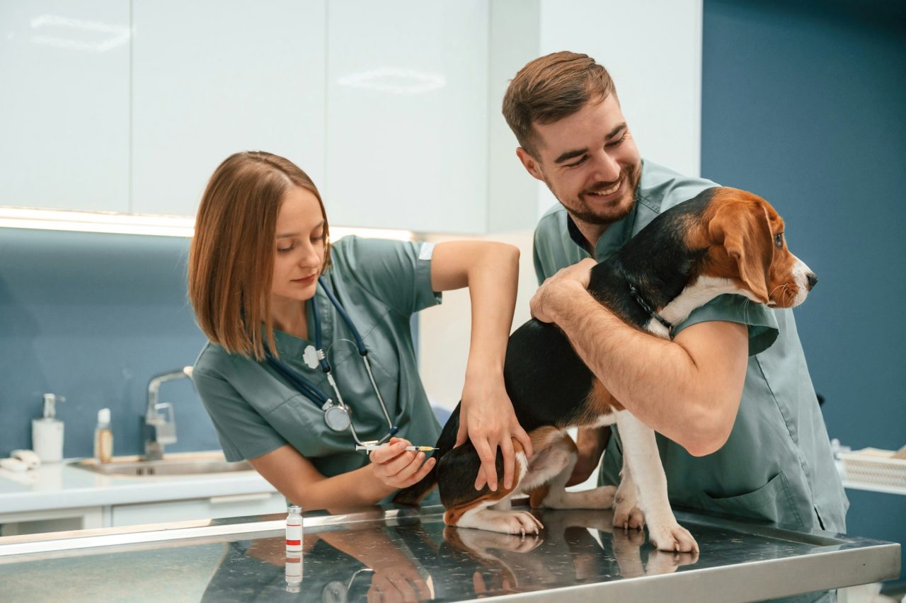 doing-vaccination-by-syringe-dog-in-veterinary-clinic-with-two-doctors.jpg