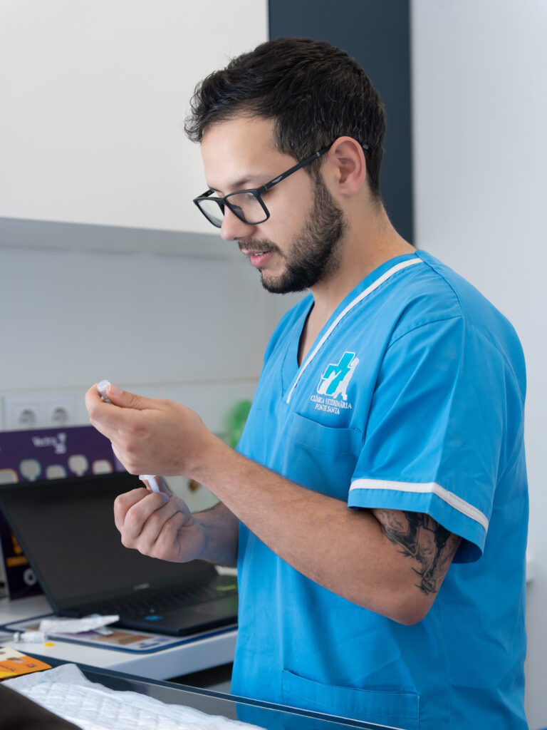 Veterinário preparando a vacina