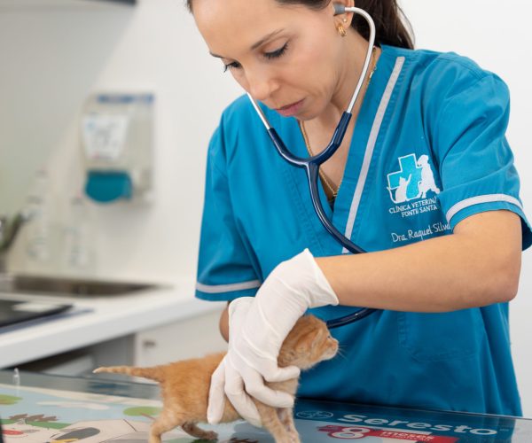 Consultas Veterinárias Personalizadas Veterinário a conversar com tutor de animal de estimação durante uma consulta clínica na Clínica Veterinária Fonte Santa, em Quarteira