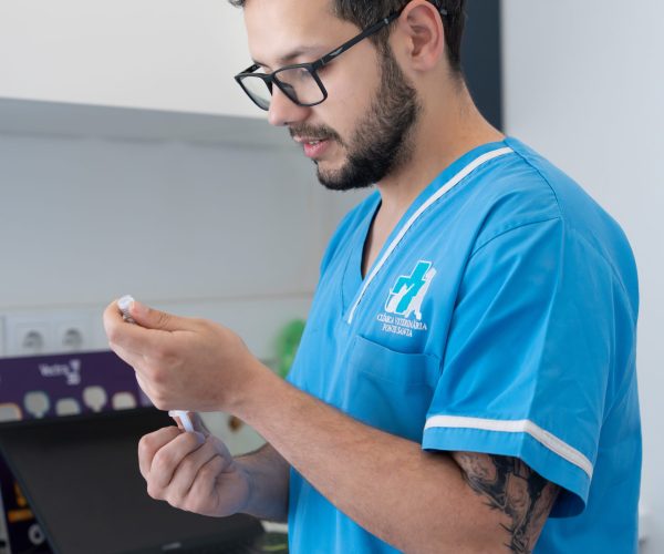 Vacinação em Animais de Estimação Veterinário preparando a vacina